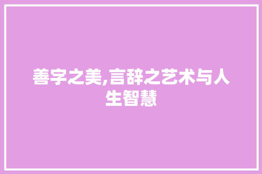善字之美,言辞之艺术与人生智慧 诗词体裁
