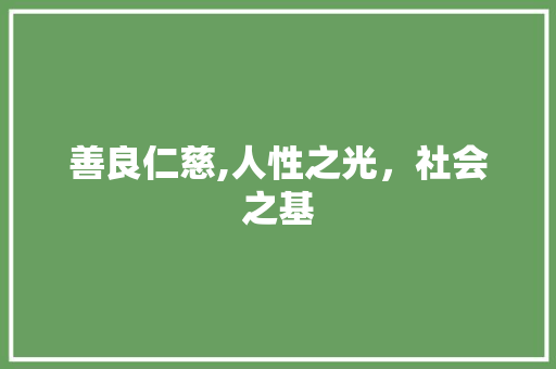 善良仁慈,人性之光，社会之基 应用文