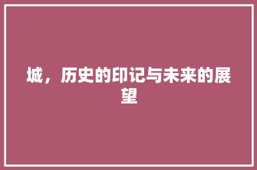 城，历史的印记与未来的展望