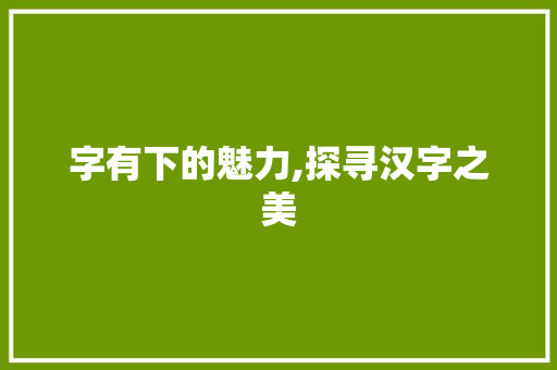 字有下的魅力,探寻汉字之美