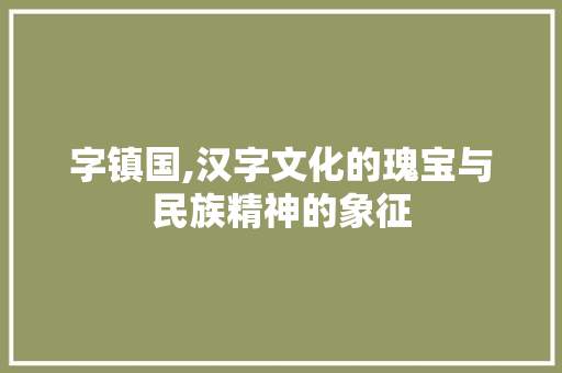 字镇国,汉字文化的瑰宝与民族精神的象征 工作总结