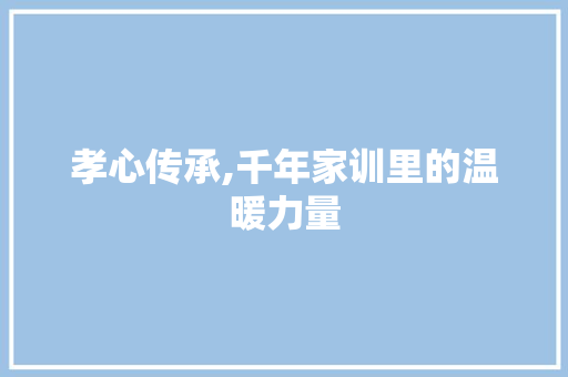 孝心传承,千年家训里的温暖力量