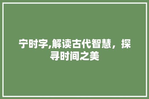 宁时字,解读古代智慧，探寻时间之美