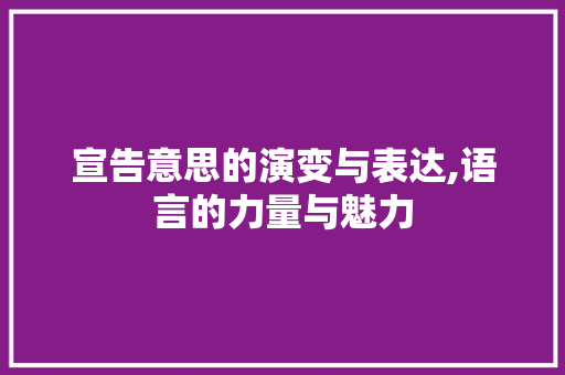 宣告意思的演变与表达,语言的力量与魅力