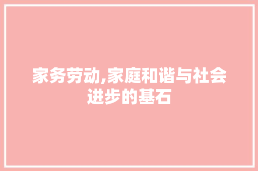 家务劳动,家庭和谐与社会进步的基石