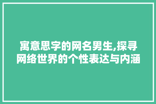 寓意思字的网名男生,探寻网络世界的个性表达与内涵