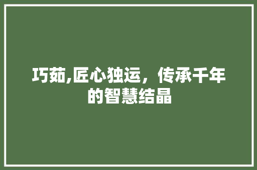 巧茹,匠心独运，传承千年的智慧结晶