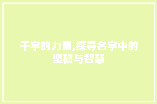 干字的力量,探寻名字中的坚韧与智慧 诗词应用
