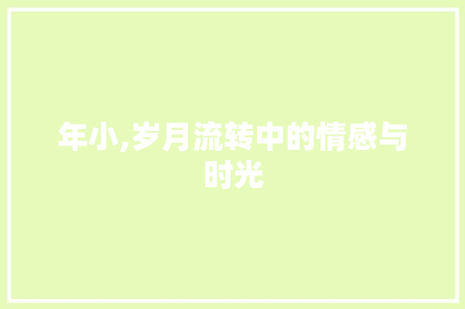 年小,岁月流转中的情感与时光