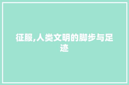 征服,人类文明的脚步与足迹 会议纪要