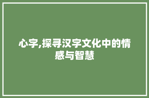 心字,探寻汉字文化中的情感与智慧
