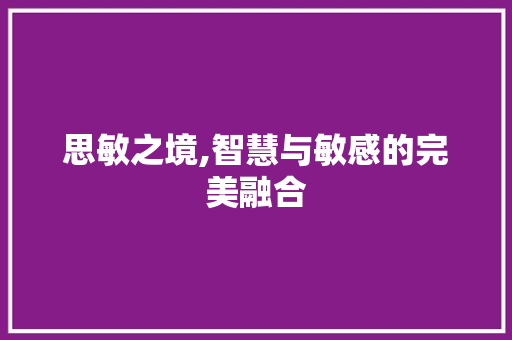 思敏之境,智慧与敏感的完美融合 应用文