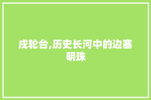 戍轮台,历史长河中的边塞明珠