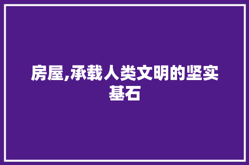 房屋,承载人类文明的坚实基石 工作总结