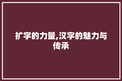 扩字的力量,汉字的魅力与传承