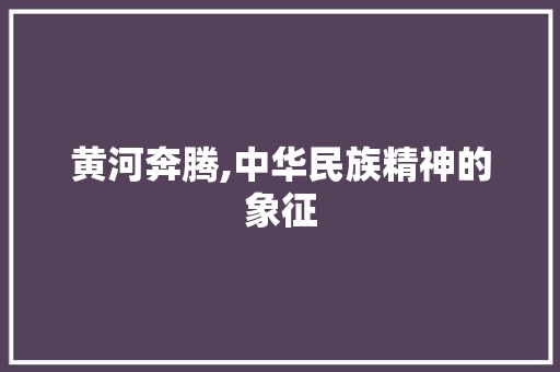 黄河奔腾,中华民族精神的象征 工作总结