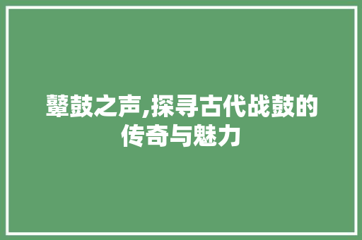 鼙鼓之声,探寻古代战鼓的传奇与魅力