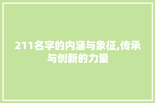 211名字的内涵与象征,传承与创新的力量 诗词体裁