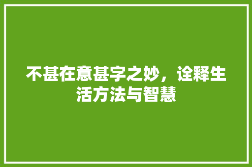不甚在意甚字之妙，诠释生活方法与智慧 项目报告