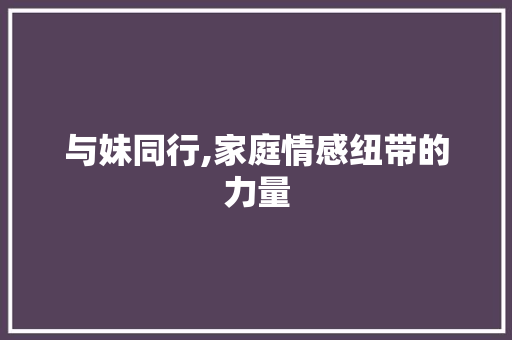 与妹同行,家庭情感纽带的力量 社交媒体