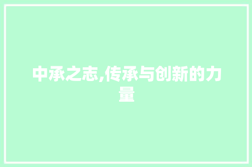中承之志,传承与创新的力量