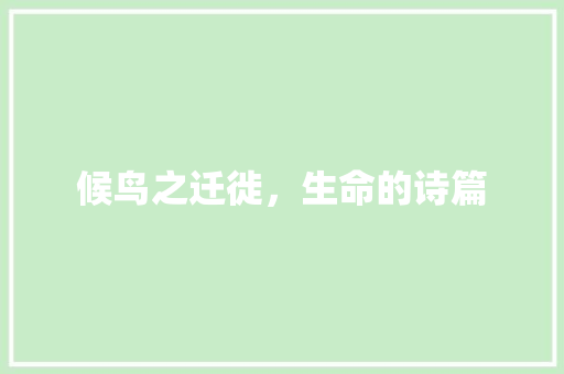候鸟之迁徙，生命的诗篇