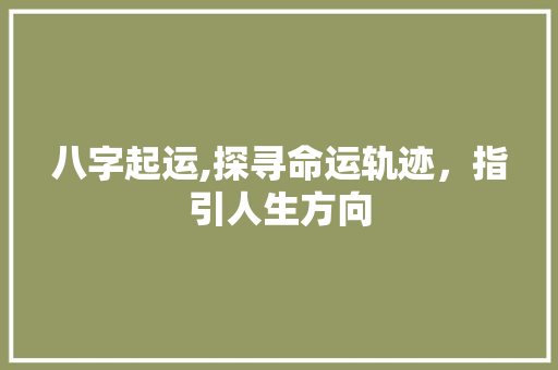 八字起运,探寻命运轨迹，指引人生方向