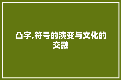 凸字,符号的演变与文化的交融