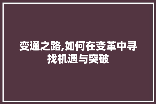 变通之路,如何在变革中寻找机遇与突破