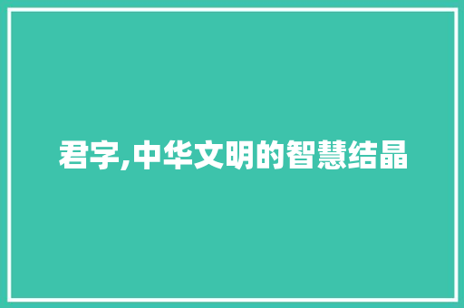 君字,中华文明的智慧结晶