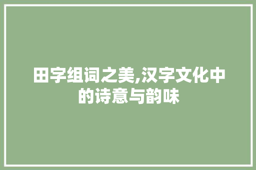 田字组词之美,汉字文化中的诗意与韵味 会议纪要