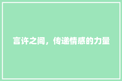 言许之间，传递情感的力量