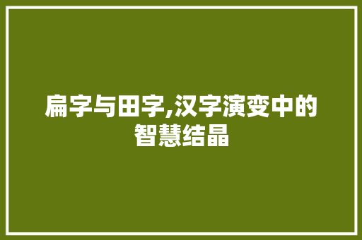 扁字与田字,汉字演变中的智慧结晶