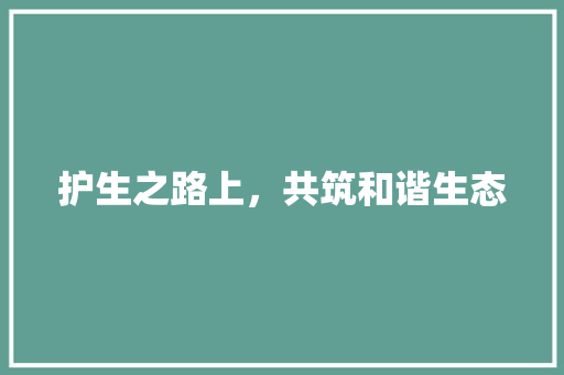 护生之路上，共筑和谐生态 应用文