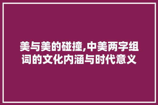 美与美的碰撞,中美两字组词的文化内涵与时代意义 项目报告