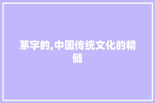 茅字的,中国传统文化的精髓