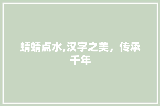 蜻蜻点水,汉字之美，传承千年