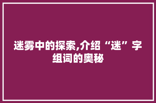 迷雾中的探索,介绍“迷”字组词的奥秘 工作总结