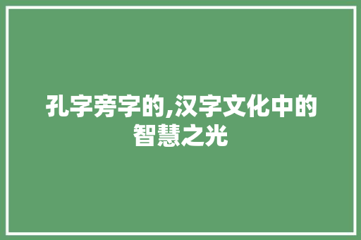 孔字旁字的,汉字文化中的智慧之光