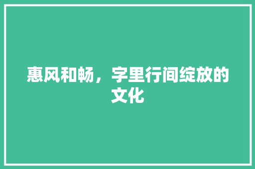 惠风和畅，字里行间绽放的文化