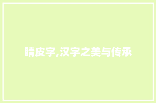 睛皮字,汉字之美与传承
