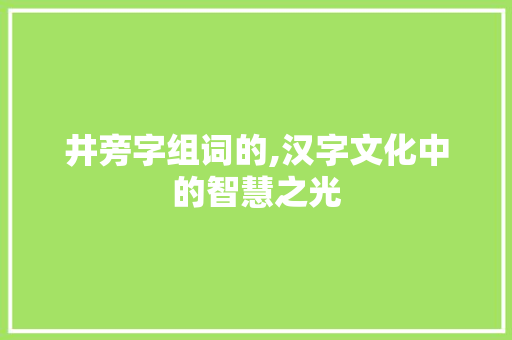井旁字组词的,汉字文化中的智慧之光