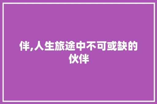 伴,人生旅途中不可或缺的伙伴