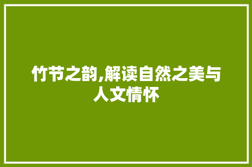 竹节之韵,解读自然之美与人文情怀