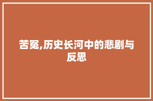 苦冤,历史长河中的悲剧与反思