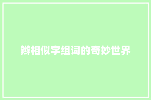 辫相似字组词的奇妙世界