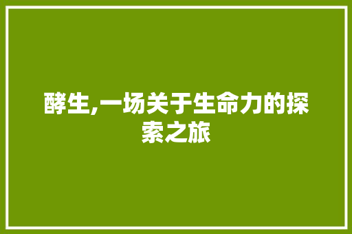酵生,一场关于生命力的探索之旅