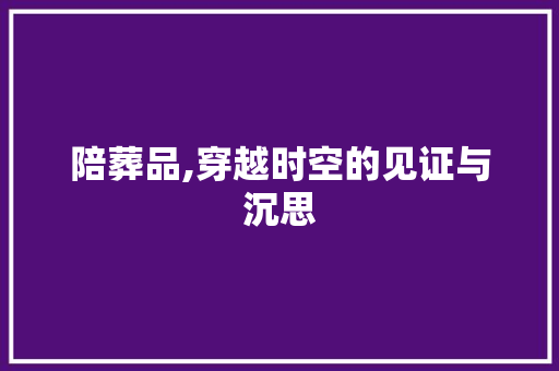 陪葬品,穿越时空的见证与沉思