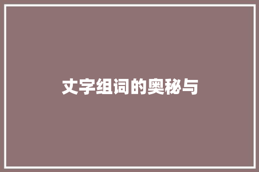 丈字组词的奥秘与 项目报告