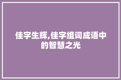 佳字生辉,佳字组词成语中的智慧之光